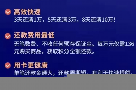 洪雅要账公司更多成功案例详情